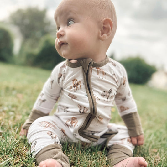 Safari Zippy