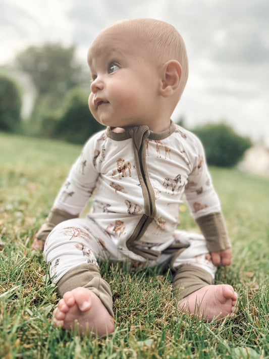 Safari Zippy