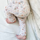 Ivy Zippy